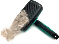 ElegaPet Hondenborstel Groen - Hondenhaar Verwijderen - Kat En Hondenkam - Slickerborstel Hond En Kat - Groomer - Ondervacht Kam Hond - Borstel Hond - Hondenborstel Langharig En Kortharig - Slickerborstel - Anti Klit/Knopen/Huidschilfers -Dierenwinkel 1200x902