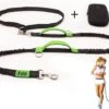 Filo Elastische Hondenriem Middel - Hardlopen En Wandelen - Hardloopriem Hond Handsfree Met Heuptasje - Looplijn Met Heupriem - Canicross Gordel Honden - Riemen - Heupgordel - Leiband -Dierenwinkel 1200x908