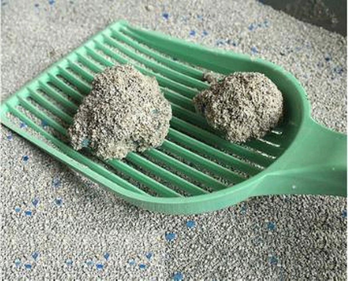 Merkloos Pet-Earth Golden Grey Master - Kattenbakvulling - Perfecte Klontvorming - 2 X 14 Kg 5 Merkloos Pet-Earth Golden Grey Master - Kattenbakvulling - Perfecte Klontvorming - 2 X 14 Kg - Afbeelding 3