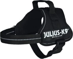 Julius K9 K9®Powertuig, S - Mini, Zwart -Dierenwinkel 1200x981