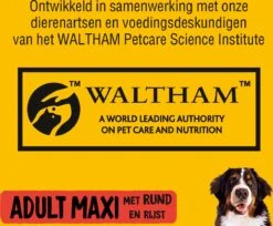 Pedigree Maxi Adult Honden Droogvoer - Rund - 15 Kg -Dierenwinkel 1200x992 1