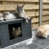 RHRQuality Kattenhuis Voor Binnen En Buiten Kattenhok Villa De Luxe Grijs -Dierenwinkel 1200x996 1