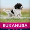 Eukanuba Dog Adult Medium Breed - Kip - Hondenvoer - 15 Kg -Dierenwinkel 548x1200