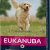 Eukanuba Dog Adult Large Breed Lam/Rice - 12 KG -Dierenwinkel 581x1200