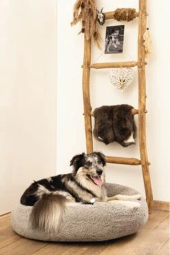 Beeztees Orthopedische Hondenmand Jaxx Grijs 70 Cm - Hond -Dierenwinkel 801x1200