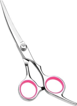 Professor Q - Hondenschaar Krom - Krommende Hondenschaar Rechts - Professionele Hondenschaar -Dierenwinkel 875x1200 2