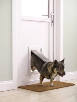 Petsafe 660 Hondenluik - Tot 100 Kg - Aluminium -Dierenwinkel 900x1200 10