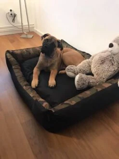 Hondenmand Cordura XXXL – Donkergrijs - 125 X 90 X 24 Cm 14 Hondenmand Cordura XXXL – Donkergrijs - 125 X 90 X 24 Cm -Dierenwinkel 900x1200 6