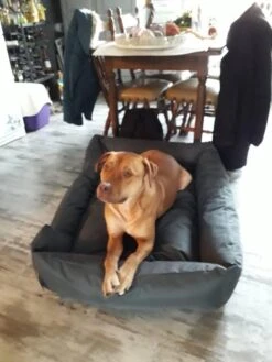 Hondenmand Cordura XXXL – Donkergrijs - 125 X 90 X 24 Cm 16 Hondenmand Cordura XXXL – Donkergrijs - 125 X 90 X 24 Cm -Dierenwinkel 900x1200 7