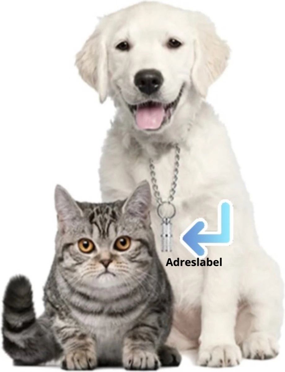 Merkloos Zelfverwarmende Dierendeken Zonder Stroom Thermo Deken Hond Kat Inclusief Adreslabel 70 X 47 Cm 4 Merkloos Zelfverwarmende Dierendeken Zonder Stroom Thermo Deken Hond Kat Inclusief Adreslabel 70 X 47 Cm - Afbeelding 2