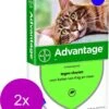 Bayer Advantage 80 Kat 4 Pip - Anti Vlooienmiddel - 2 X 0.8 Ml - > 4 Kg -Dierenwinkel 968x1200