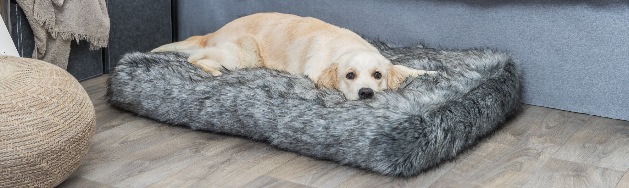 Dierenwinkel -Dierenwinkel 1