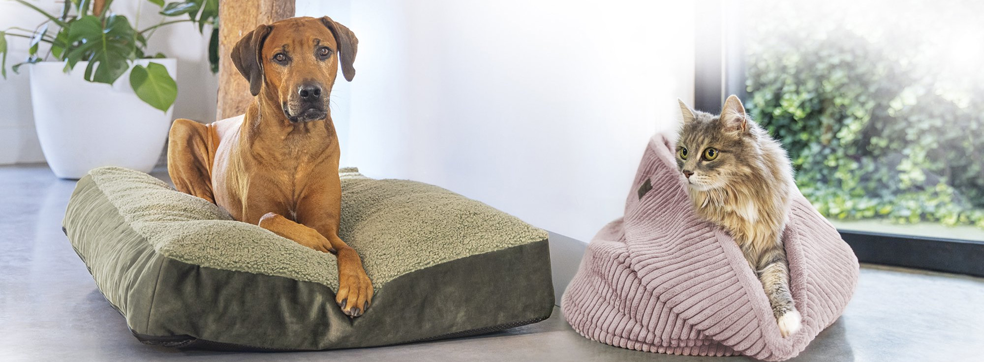 Dierenwinkel -Dierenwinkel 2